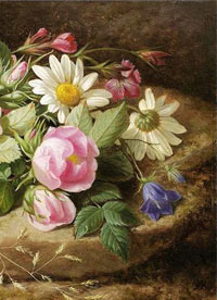 �ռ�֮���Ůҽ