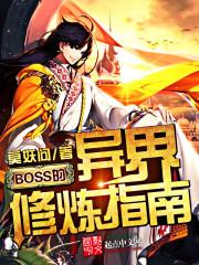 BOSS���������ָ��