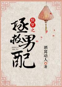 �촩֮��������