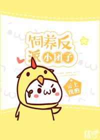 ��������С���ӷ���