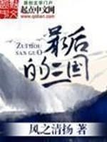 最后的三国封面