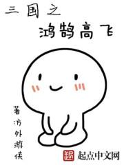 三国之鸿鹄高飞封面
