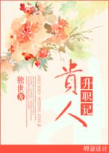 贵人升职记 作者:独世封面