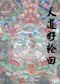 ������ֻ�