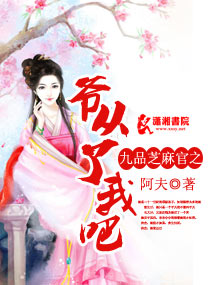 九品芝麻官之爷从了我吧封面