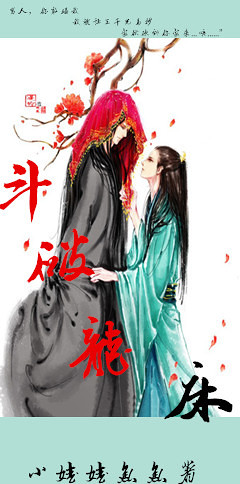 斗破龙床封面