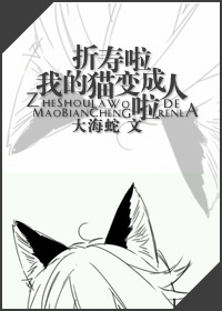 �������ҵ�è�������������