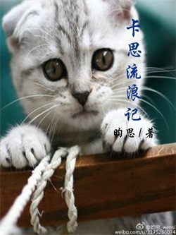 ��˼���˼Ƿ���