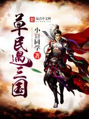 草民遇三国封面