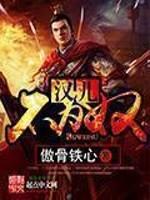 汉儿不为奴封面