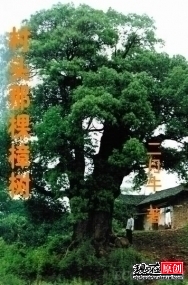 ��ͷ�ǿ�����