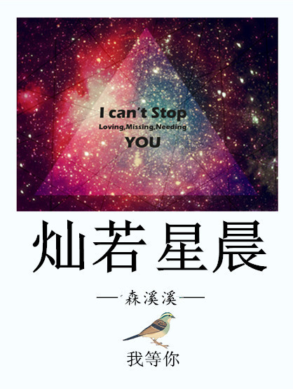 灿若星晨封面