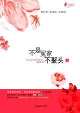 欢喜冤家的斗气爱恋:不是冤家不聚头封面