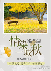 ��Ⱦһ����-����ר�����