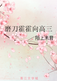 磨刀霍霍向高三封面