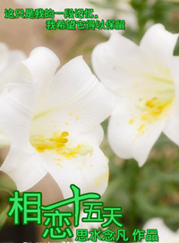 ����ʮ����