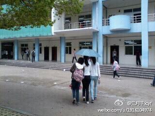 ����,����ֻ������gl