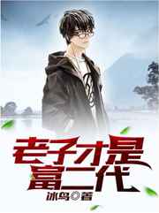 ���Ӳ��Ǹ���������