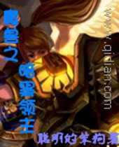 魔兽之暗黑领主封面