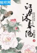 江月沐春阳封面