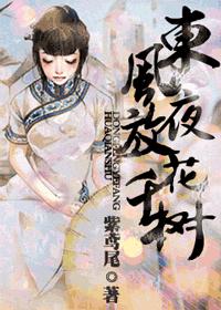 东风夜放花千树封面