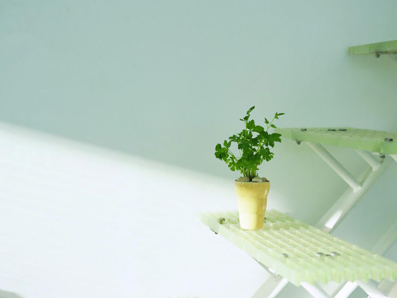 С��Բ����