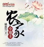 农家小地主封面