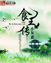 食王传封面