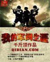 我的军阀生涯封面