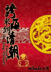 跨海来到清朝封面