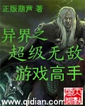 异界之游戏高手封面