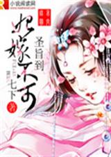 圣旨到:妃嫁不可封面