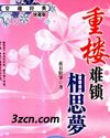 重楼难锁相思梦封面
