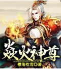 焱火神尊封面