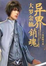 大罗金仙异界销魂封面