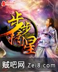 步步摘星封面