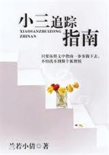 С��׷��ָ�Ϸ���