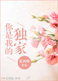 你是我的独家封面