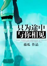 只为途中与你相见封面
