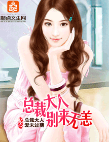 总裁大人别来无恙封面