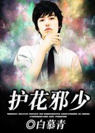 护花邪少封面