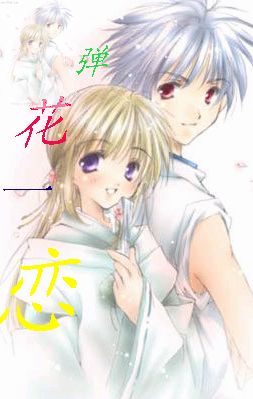 弹花一恋封面