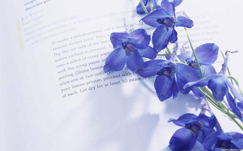 ���Ѭ�²����