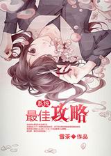 系统最佳攻略封面