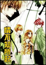 情不知所起封面