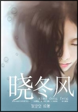 晓冬风(商战)封面