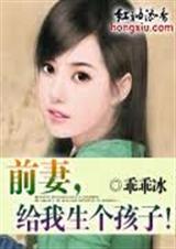 前妻,给我生个孩子!封面