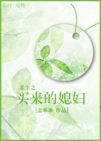 重生之买来的媳妇封面