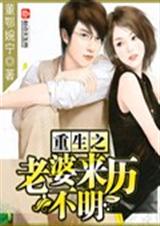 重生之老婆来历不明封面