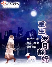 重生岁月静好封面